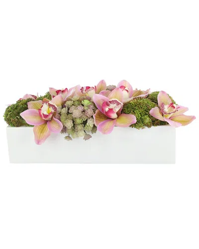 Creative Displays Modern Pink Orchid Arrangement With Assorted Succulents