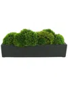 Creative Displays Mood Moss Arranged In Fiberstone Planter In Green