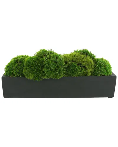 Creative Displays Mood Moss Arranged In Fiberstone Planter In Green