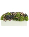 Creative Displays Moss & Succulents In Rectangular Planter In Green