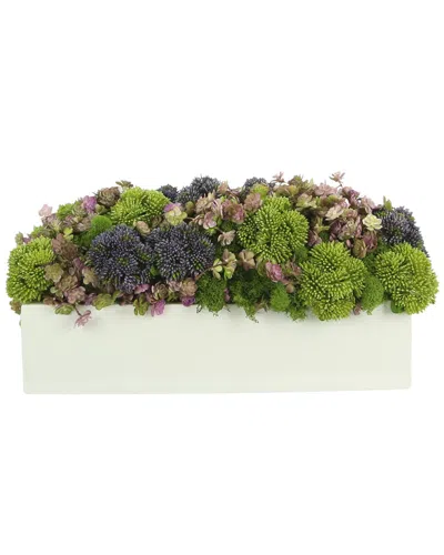 Creative Displays Moss & Succulents In Rectangular Planter In Green