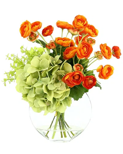 Creative Displays Orange Ranunculus In Multi