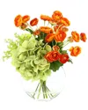 Creative Displays Ranunculus, Hydrangea And Eucalyptus Arranged In A Clear Glass Vase In Orange