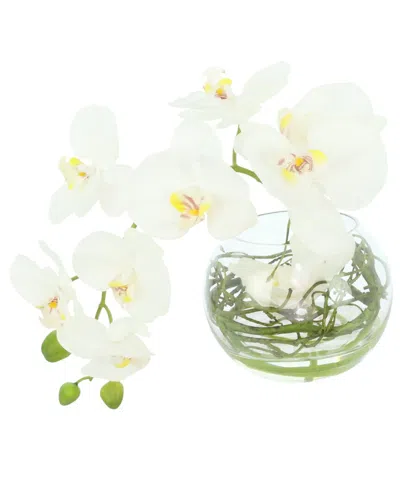 CREATIVE DISPLAYS CREATIVE DISPLAYS ORCHID & CURLY WILLOW ARRANGED IN GLASS VASE