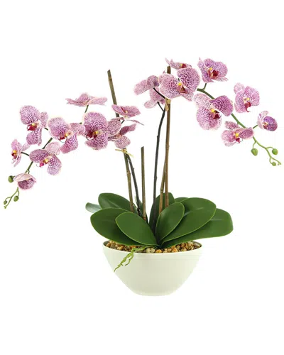 Creative Displays Orchid Arrangement In Ceramic Pot With Rocks In Purple