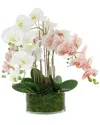 Creative Displays Orchid Arrangement In Glass Vase With Moss In Multi