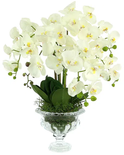 Creative Displays Orchid Floral Arrangement With Leaves And Vines In Glass Pedestal Vase In White