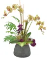 Creative Displays Orchid, Sedum & Cactus Arrangement In Green