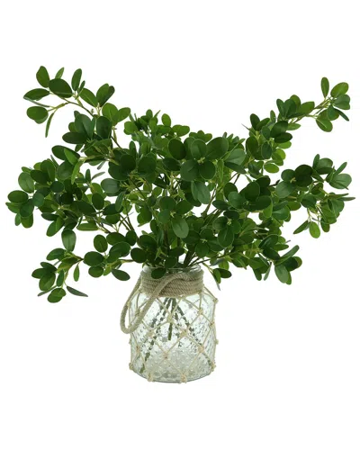 Creative Displays Organic Modern Boxwood Spray Arranged In Glass Vase In Green