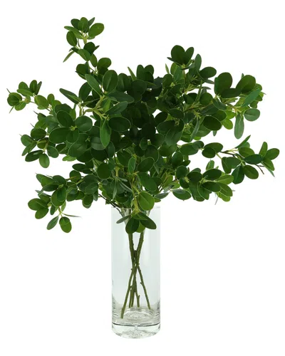 Creative Displays Organic Modern Boxwood Spray Arranged In Glass Vase In Green