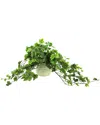 CREATIVE DISPLAYS CREATIVE DISPLAYS ORGANIC MODERN FROSTED IVY PLANT