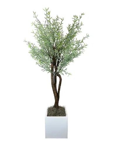 Creative Displays Organic Modern Myrtle Tree In Pot In Green