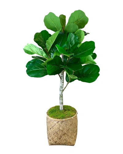 Creative Displays Outdoor Uv-rated 4' Fiddle Tree In Woven Planter In Green