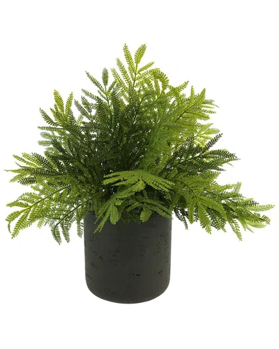 Creative Displays Outdoor Uv-rated Ostrich Fern In Fiberstone Pot In Green