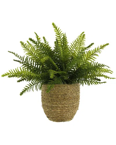 Creative Displays Outdoor Uv-rated Boston Fern In Straw Grass-wrapped Pot In Brown