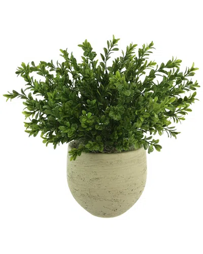 Creative Displays Outdoor Uv-rated Boxwood In Fiberstone Pot In Green