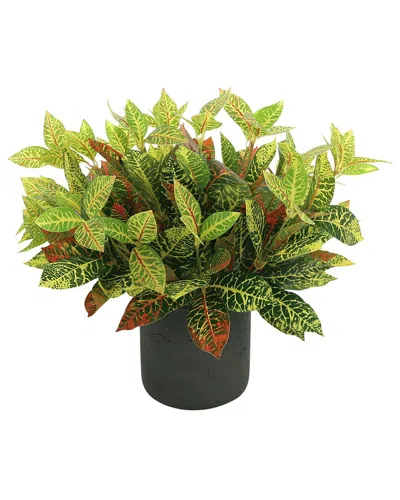 Creative Displays Outdoor Uv-rated Croton Plant In Multi