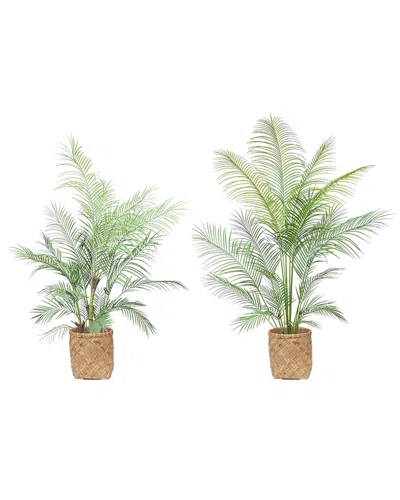 Creative Displays Outdoor Uv-rated Kentia Palm Drop-in Trees With Bamboo-wrapped Cement Pots In Brown