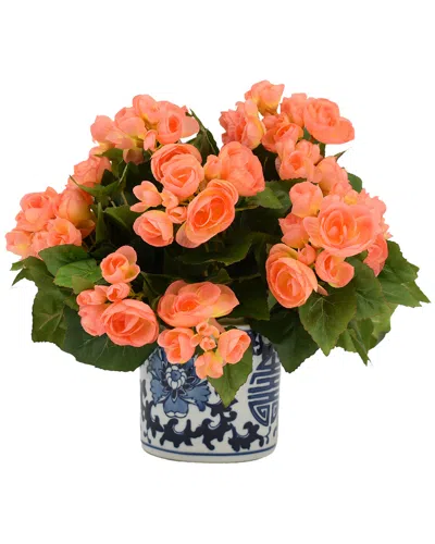 Creative Displays Peach Begonia Floral Arrangement In Multi