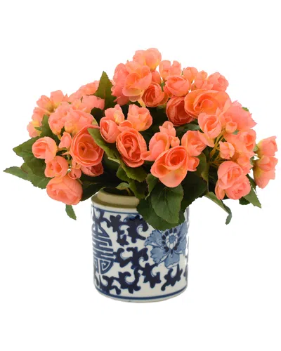 Creative Displays Peach Orange Begonia Floral Arrangement In Multi