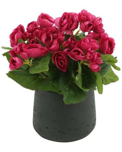 Creative Displays Pink Begonia Spring Floral Arrangement