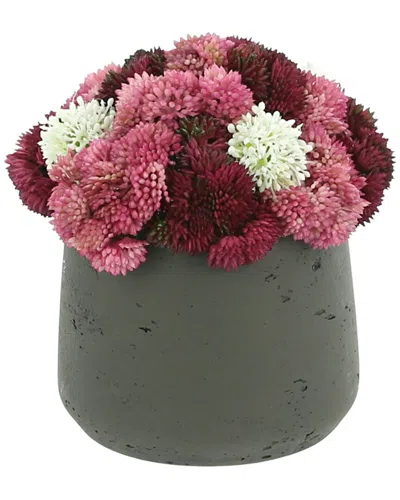 Creative Displays Pink Mauve And White Sedum In Gray