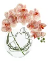 Creative Displays Pink Orchid Floral Arrangement In Pink
