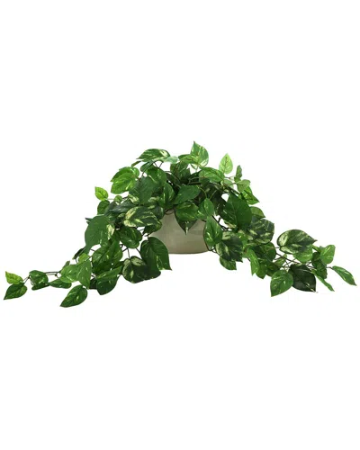 Creative Displays Pothos Arrangement In Ceramic Pot In Green