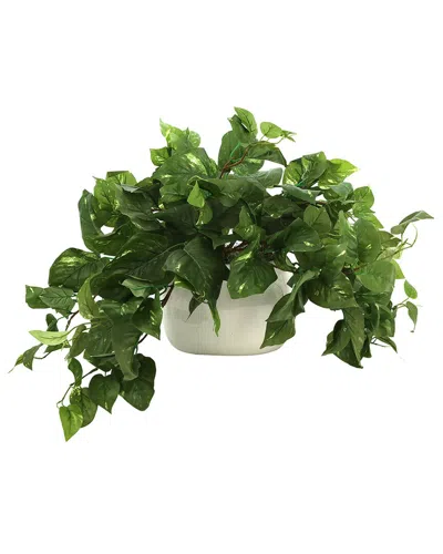 Creative Displays Pothos Plant In Ceramic Pot In Green