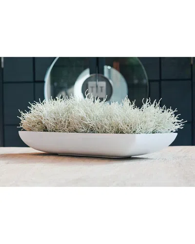 Creative Displays Pottery Pots Glossy Oblong White Fiberstone Planter