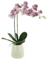 Creative Displays Purple Orchid Floral Arrangement In Glass Vase In Cream