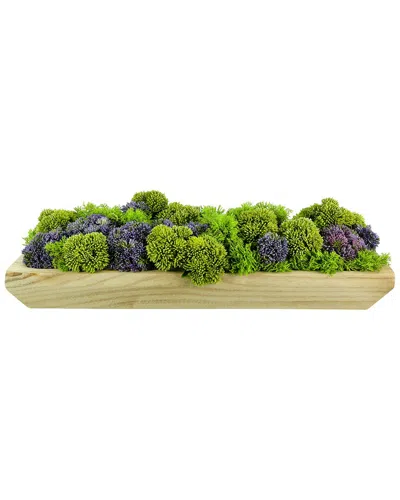 Creative Displays Purple Sedum And Moss Arranged In Wood Planter In Green