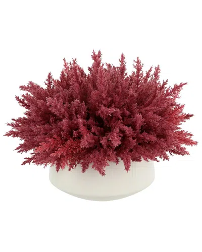 Creative Displays Rose Pampas Floral Arrangement In Red