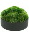 Creative Displays Rounded Moss Arrangement In Planter In Green