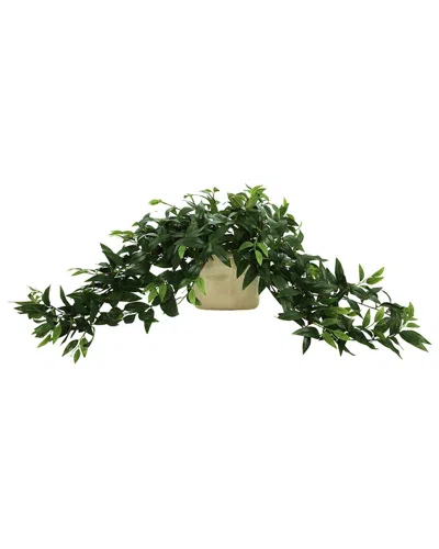 Creative Displays Ruscus Arrangement In Ceramic Pot In Green