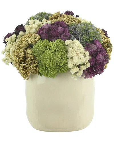 Creative Displays Sedum & Baby's Breath Arranged In Ceramic Vase In White