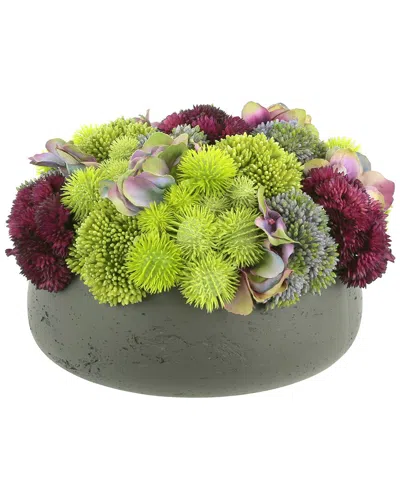 Creative Displays Sedum & Hydrangea Arranged In Round Pot In Multi