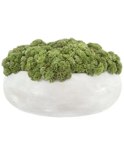 Creative Displays Sedum Arranged In A Stone Planter In Green