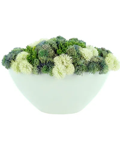 Creative Displays Sedum Arranged In Ceramic Pot In Green