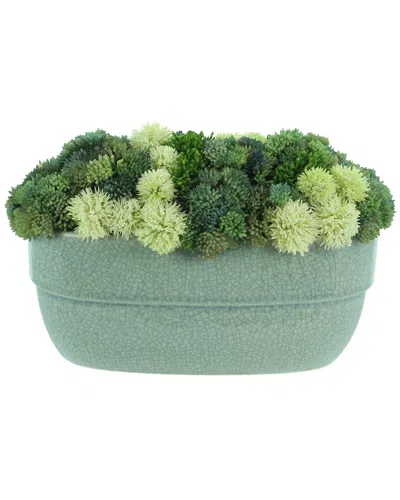 Creative Displays Sedum Arrangement In Ceramic Pot In Green