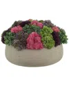 Creative Displays Sedum Arrangement In Fiberstone Planter In Multi
