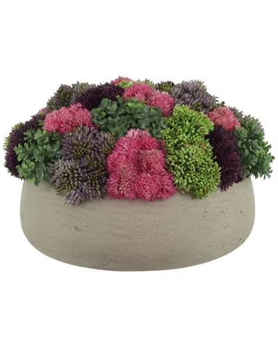 Creative Displays Sedum Arrangement In Fiberstone Planter In Multi