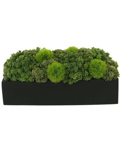 CREATIVE DISPLAYS CREATIVE DISPLAYS SEDUM ARRANGEMENT IN RECTANGULAR PLANTER