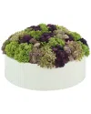 Creative Displays Sedum In Round Fiberstone Planter In Pink