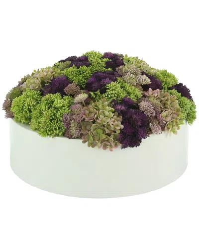 Creative Displays Sedum In Round Fiberstone Planter In Pink