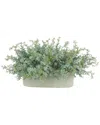 Creative Displays Seeded Eucalyptus Arrangement In An Oval Ceramic Pot In Teal