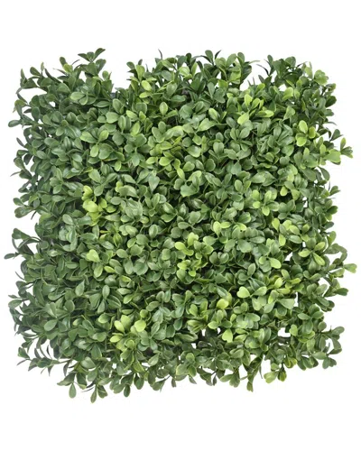 Creative Displays Set Of 24 Green Boxwood Mats