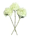 CREATIVE DISPLAYS CREATIVE DISPLAYS SET OF 3 CREAM HYDRANGEA FLORAL STEMS