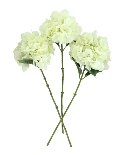 Creative Displays Set Of 3 Cream Hydrangea Floral Stems In Green
