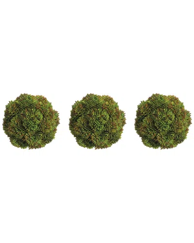 Creative Displays Set Of 3 Decorative Green Sedum Balls In Gray